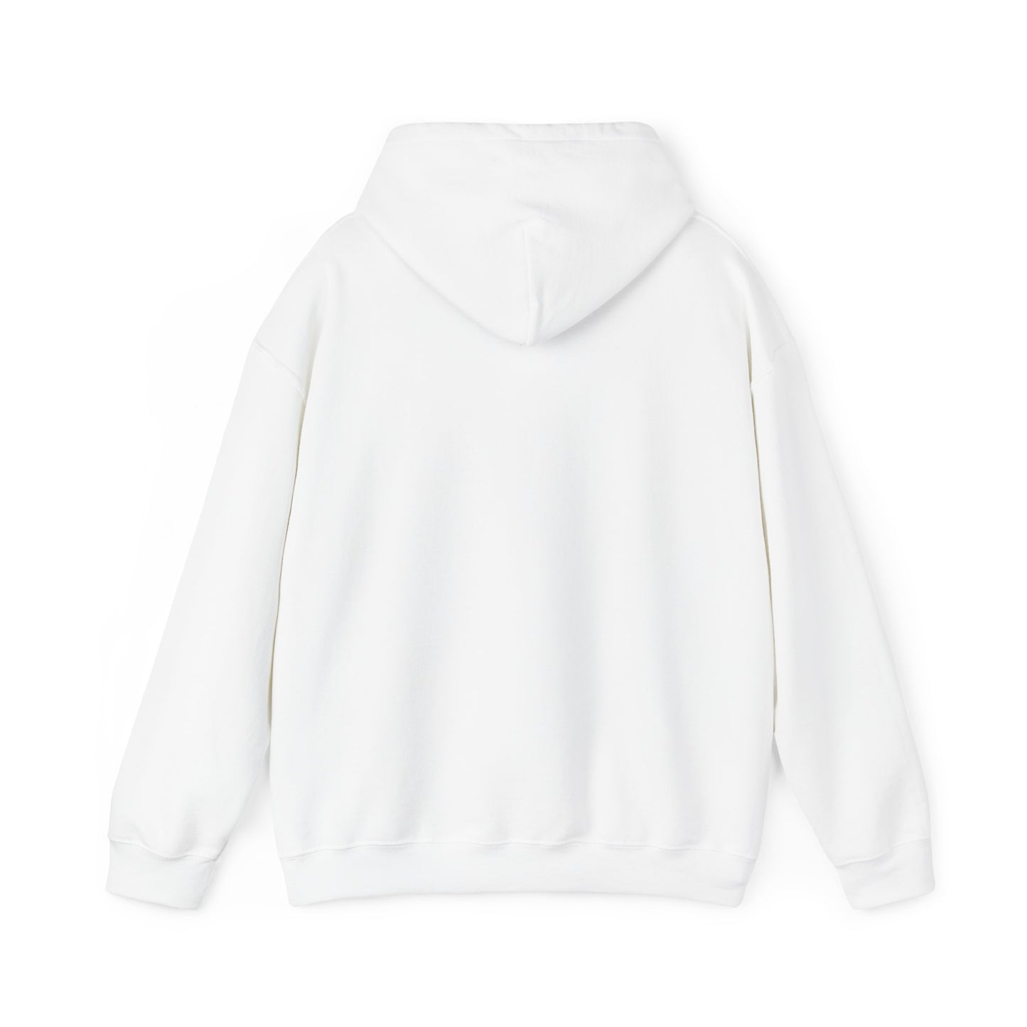 Palestine Hooded Sweatshirt